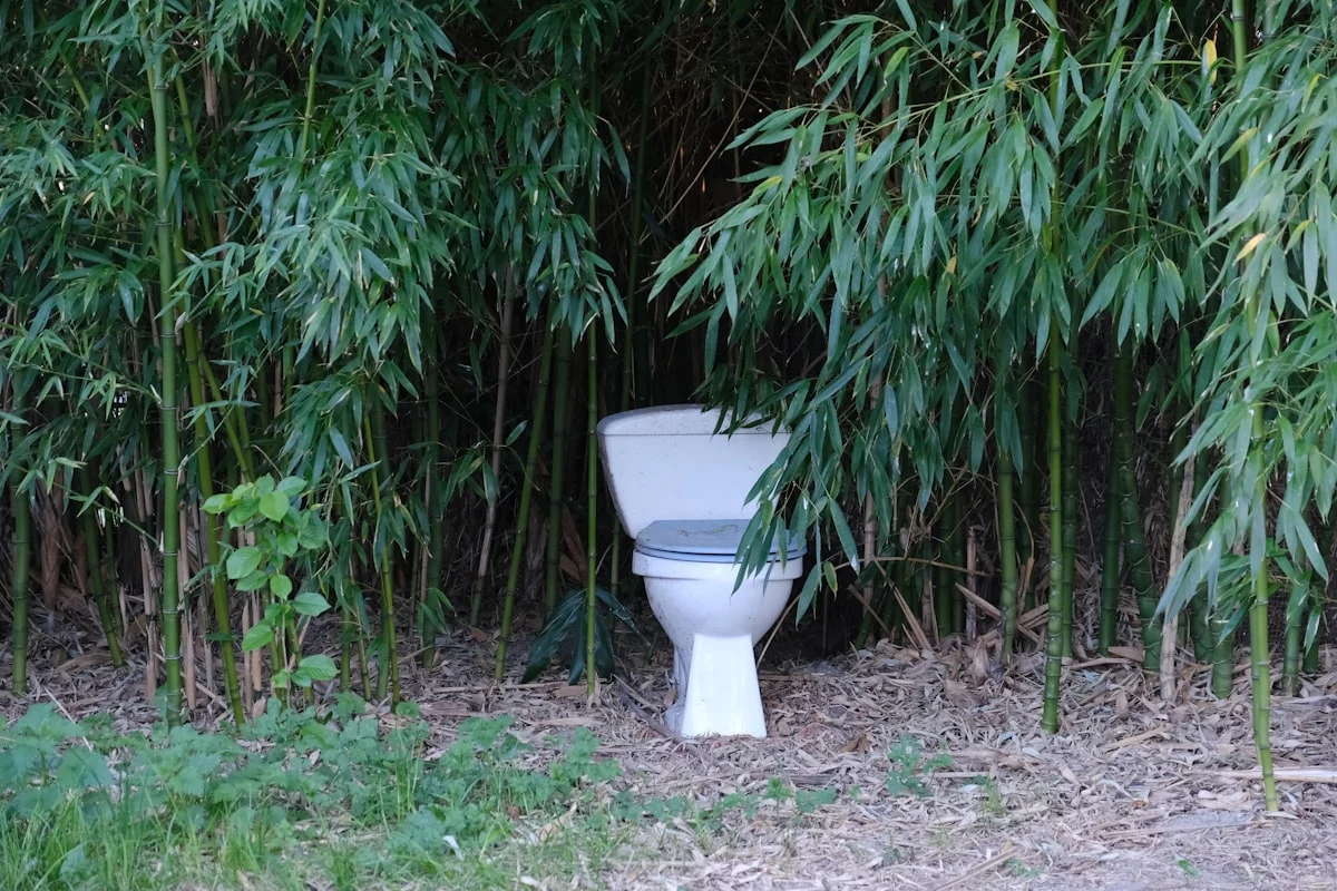 Toilet Portable Gathering Kantor Eksklusif: Solusi Praktis untuk Acara Anda